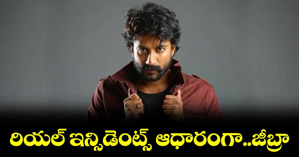 ఆర్థిక నేరాలపై జీబ్రా